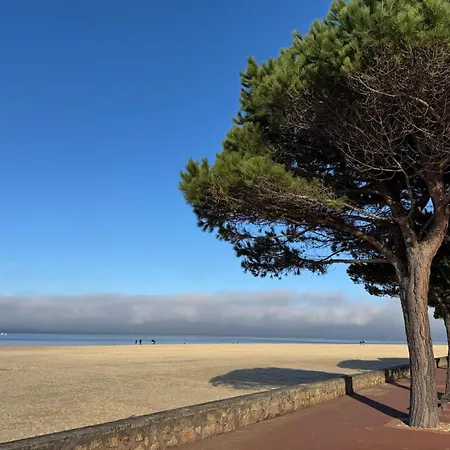 Holiday home Maison T2 Au Calme Avec Terrasse Couverte Spacieuse Arcachon