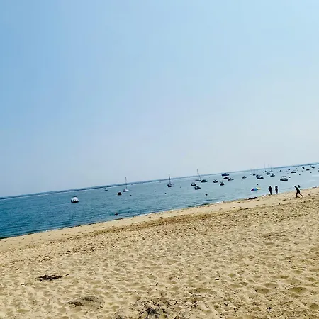 Plage Et Centre Ville A Pied, La Maison Du Pecheur Est Climatisee Avec Menage, Draps Et Serviettes Inclus 펜션